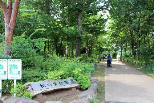 柏の宮公園の画像