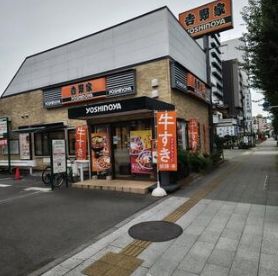 吉野家 6号線白鳥店の画像