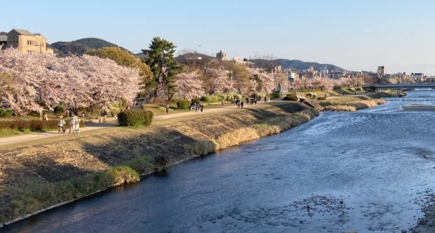 鴨川の画像