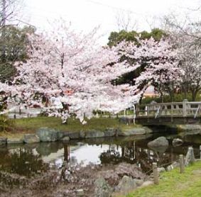 東綾瀬公園の画像