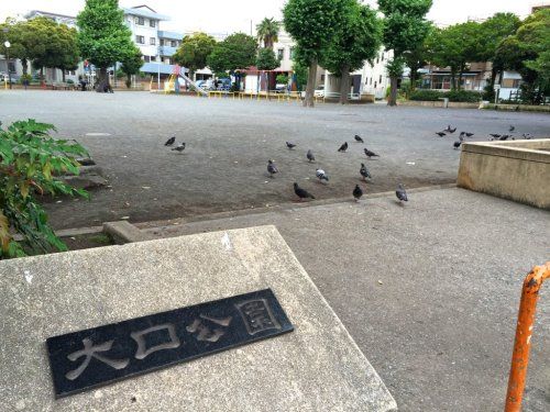 大口公園の画像