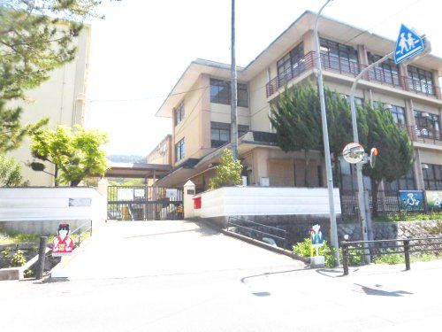 京都市立醍醐小学校の画像