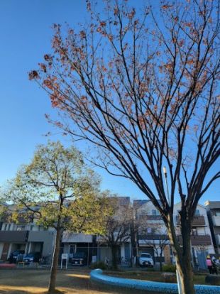 南津守北公園の画像