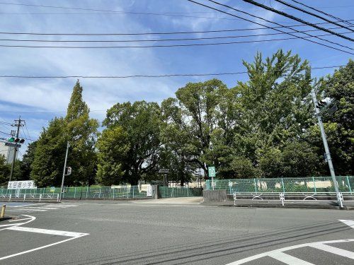 八代市立太田郷小学校の画像