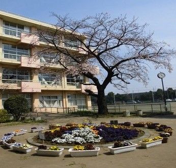 ふじみ野市立西原小学校の画像