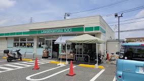 ローソンストア100 LS練馬南大泉五丁目店の画像