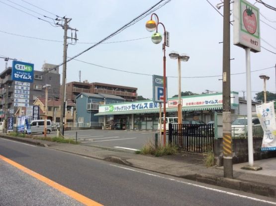 ドラッグセイムス 相武台2丁目店の画像