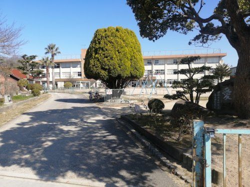 笠岡市立中央小学校の画像