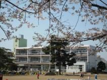 城南小学校の画像