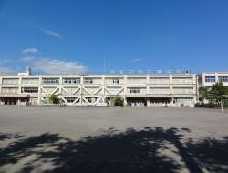 立川市立柏小学校の画像