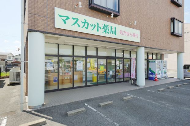 マスカット薬局総社店の画像