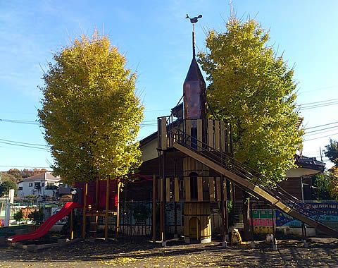 立川かしの木幼稚園の画像