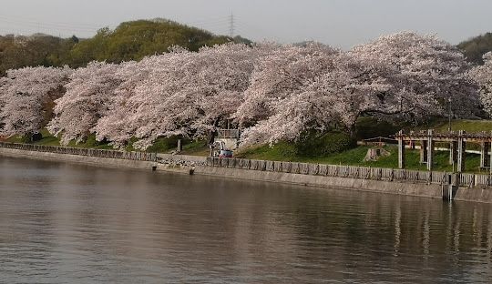 酒津公園の画像