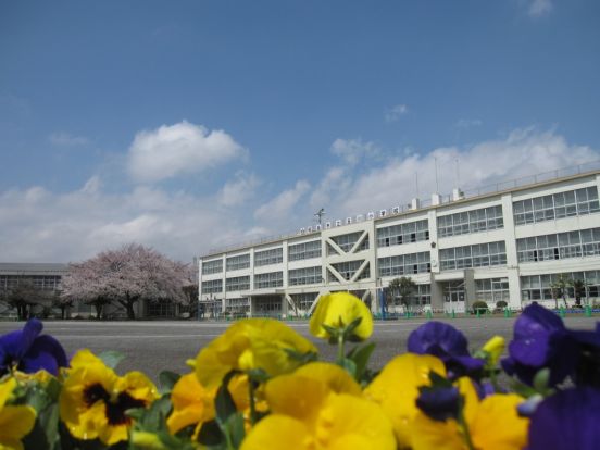 昭島市立玉川小学校の画像