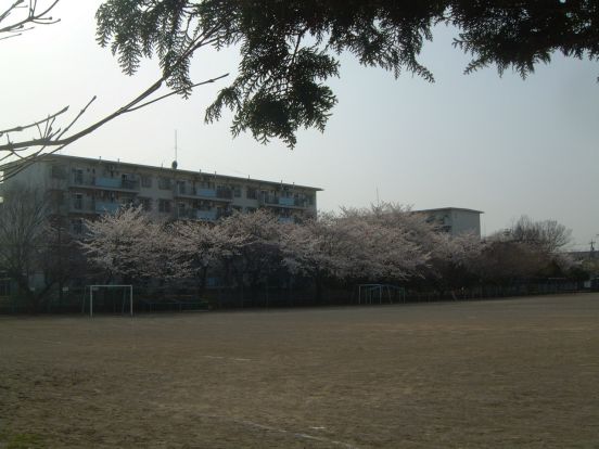 昭島市立田中小学校の画像