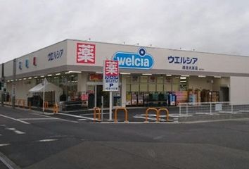 welcia(ウエルシア) 越谷大房店の画像