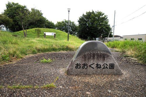 おおくね公園の画像