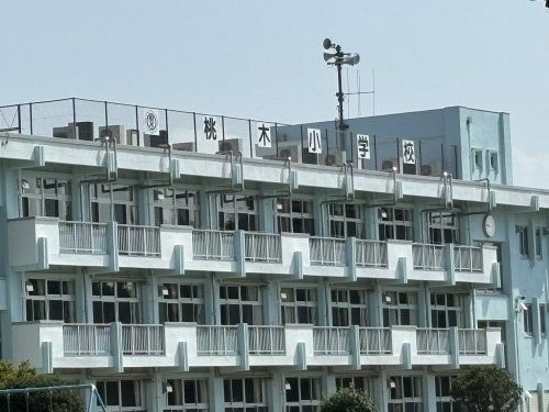 前橋市立桃木小学校の画像