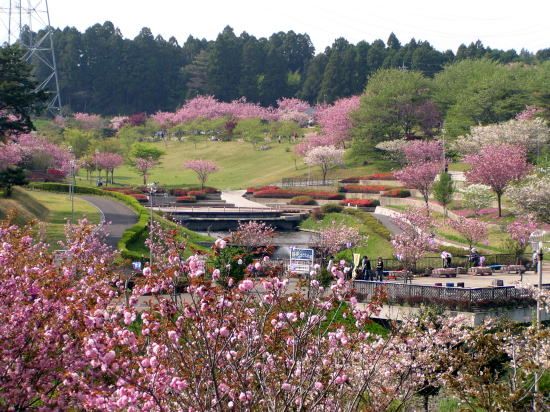 静峰ふるさと公園の画像