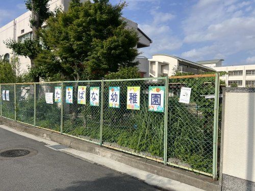 尼崎市立立花幼稚園の画像