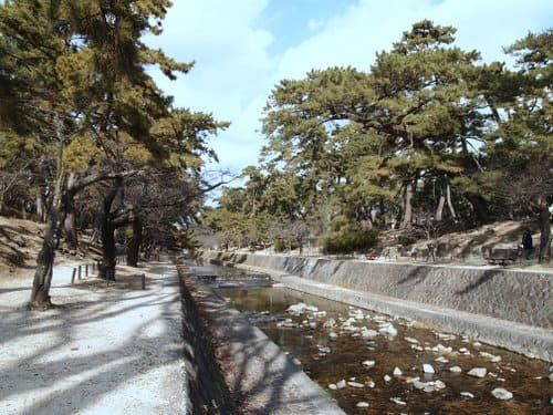 夙川河川敷緑地(夙川公園)の画像