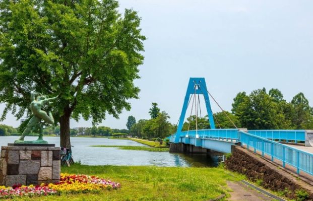 水元公園の画像