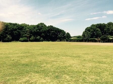 三芳町自然の森レクリエーション公園の画像