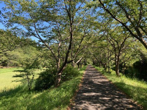 宮ノ森公園の画像