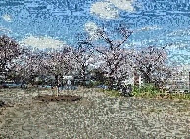 幸ケ谷公園の画像