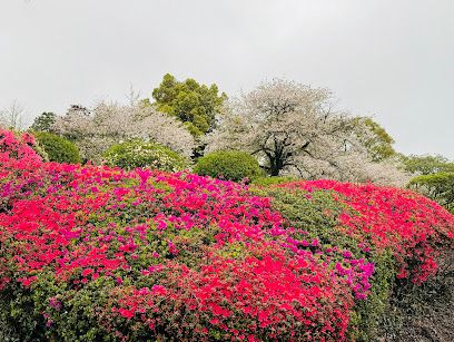 昭和園の画像