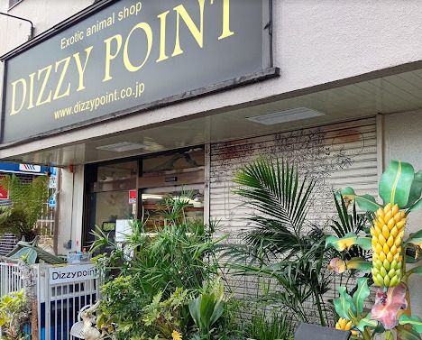 DIZZY POINT TOKYO(デイジー ポイント トウキョウ)の画像