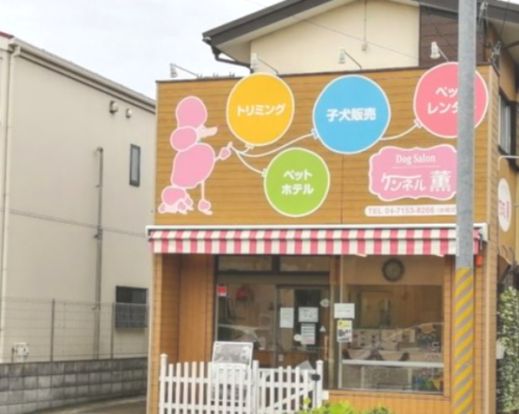 ケンネル薫 柏店の画像