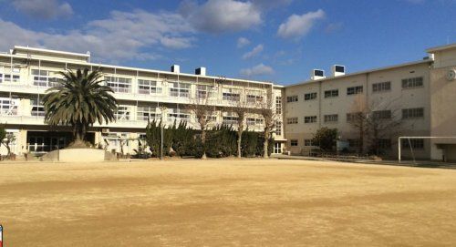 芦屋市立精道中学校の画像