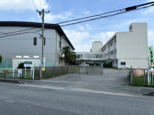 本庄市立児玉小学校の画像