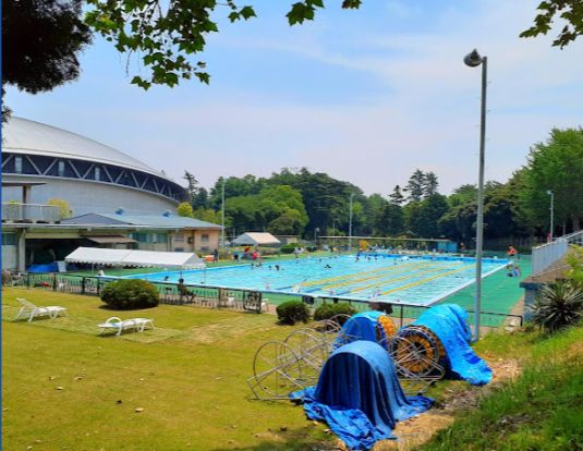 千葉公園スポーツ施設・屋外プールの画像