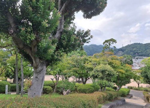 大倉山公園の画像