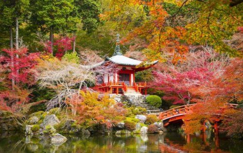 醍醐寺の画像