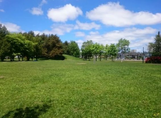 厚別中央公園野球場の画像