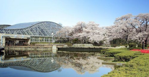 京都府立植物園の画像