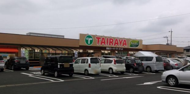 エコスTAIRAYA(タイラヤ) 川島店の画像