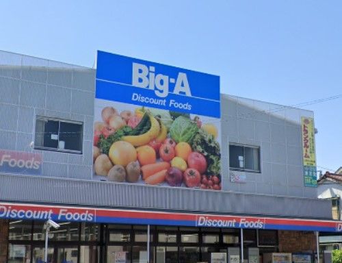 Big-A(ビッグ エー) 草加栄町店の画像