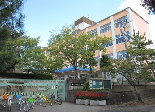 桜が丘小学校の画像