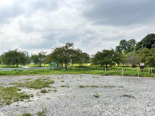 花園水辺公園の画像