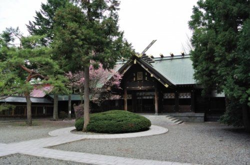 琴似神社の画像