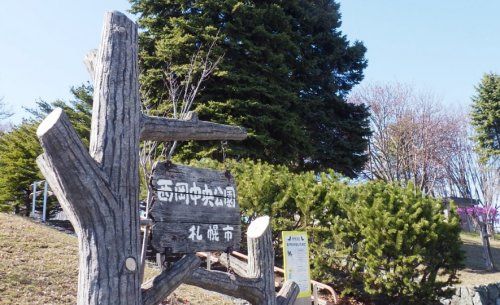 西岡中央公園の画像