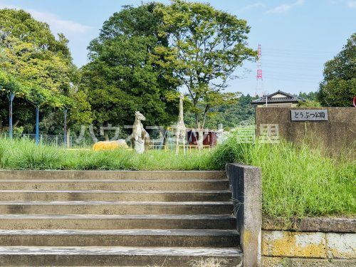 どうぶつ公園の画像