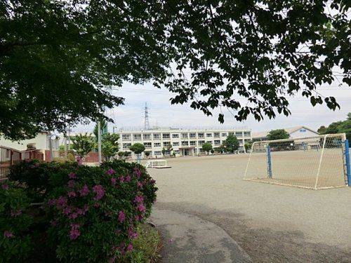 狭山市立柏原小学校の画像