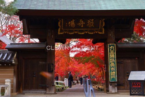 九品仏淨眞寺の画像