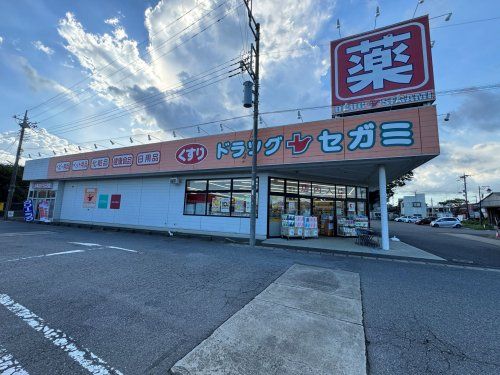 ドラッグセガミ 八街店の画像