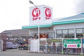 コメリハード&グリーン板倉ニュータウン店の画像